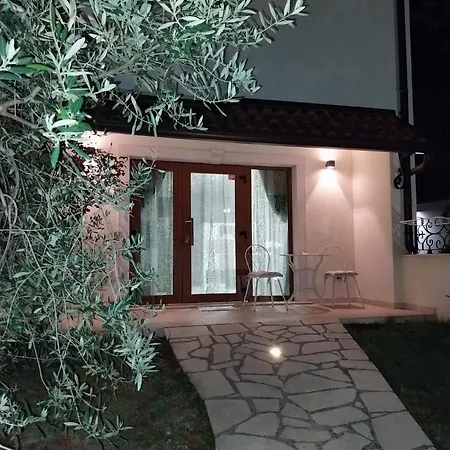 Birikina With Pool * بوريتش