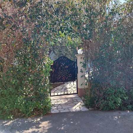 Birikina With Pool * بوريتش